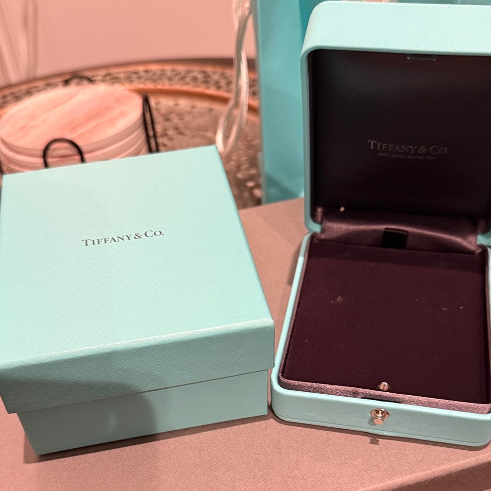 Tiffany & Co. Jewelry Box, earrings